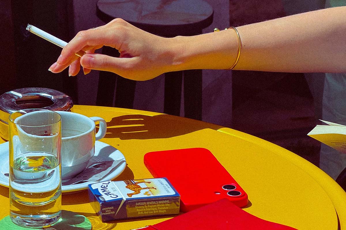 Palm tree at the entrance of O Palmeiral restaurant on Travessa de São José, Príncipe Real, Lisbon